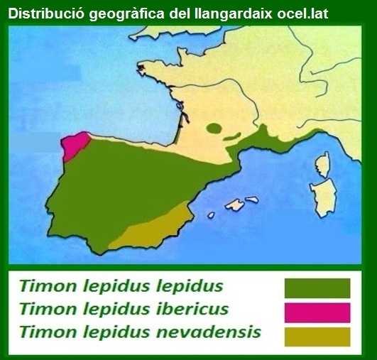 Distribució de Timon lepidus